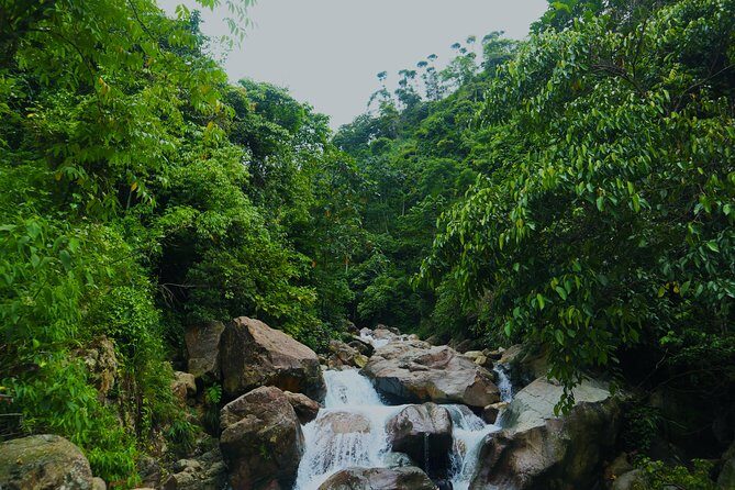 Bogor Botanical Garden & Rainforest Trekking to Hidden Waterfall - A Deep Dive into the Experience