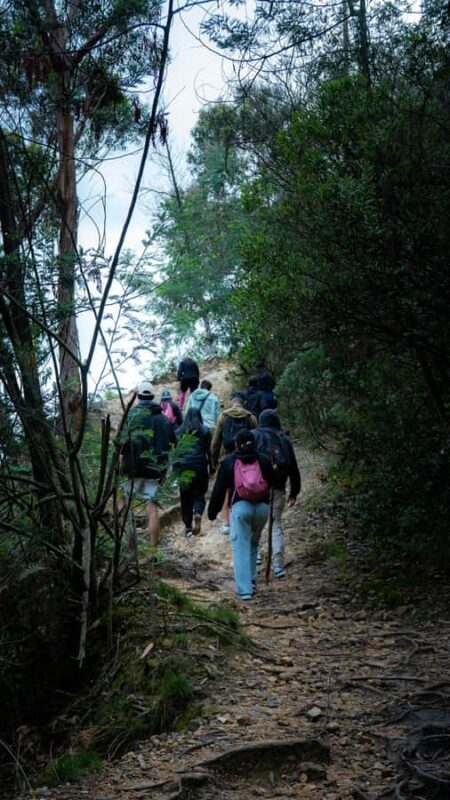 Bogota: East Hills Mountain Hike - Practical Tips