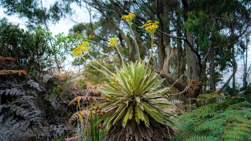 Bogota: East Hills Mountain Hike - The Sum Up