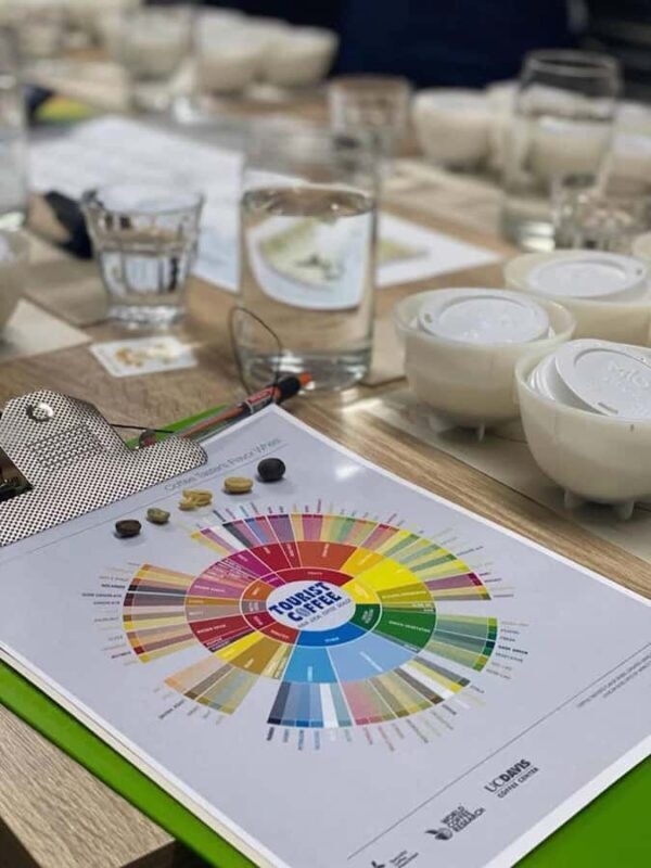 Bogota: Expert curated Colombian Coffee cup tasting workshop - Discover Bogotá’s Coffee Scene with an Expert Tasting Workshop