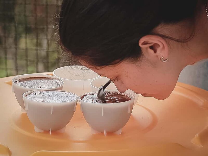 Bogota: Expert curated Colombian Coffee cup tasting workshop - Key Points
