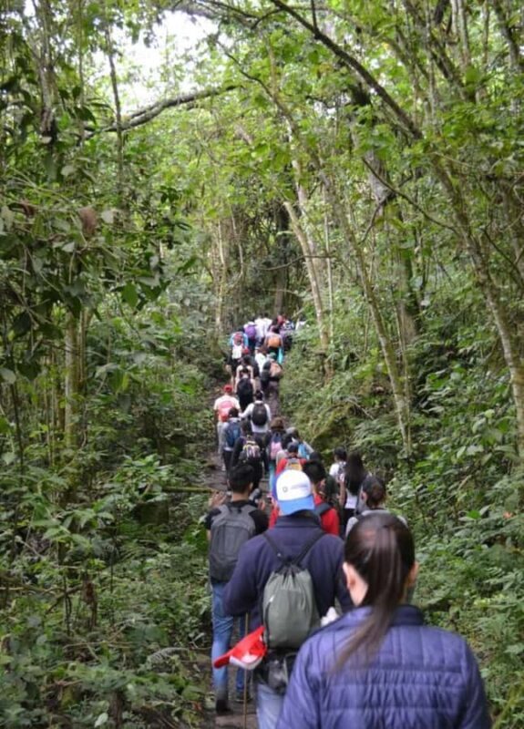 Bogota: Explore the forest and bird watching at Chicaque Natural Park - Key Points