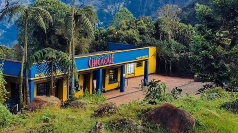 Bogota: Explore the forest and bird watching at Chicaque Natural Park - A Deep Dive into the Chicaque Experience