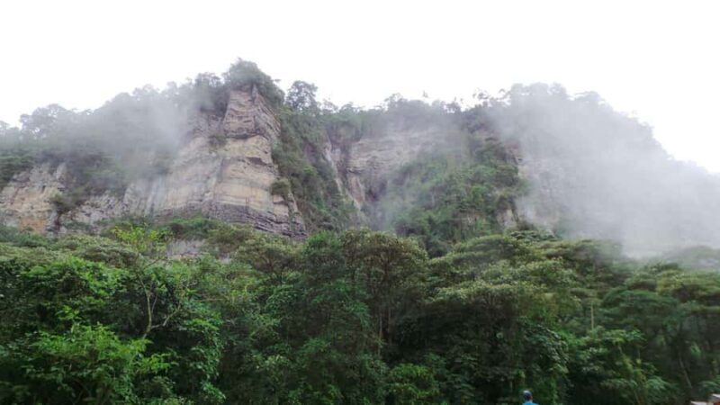 Bogota: Explore the forest and bird watching at Chicaque Natural Park - FAQ