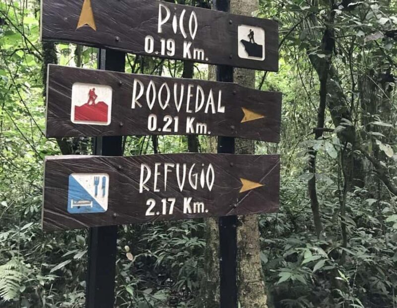 Bogota: Explore the forest and bird watching at Chicaque Natural Park - Final Words
