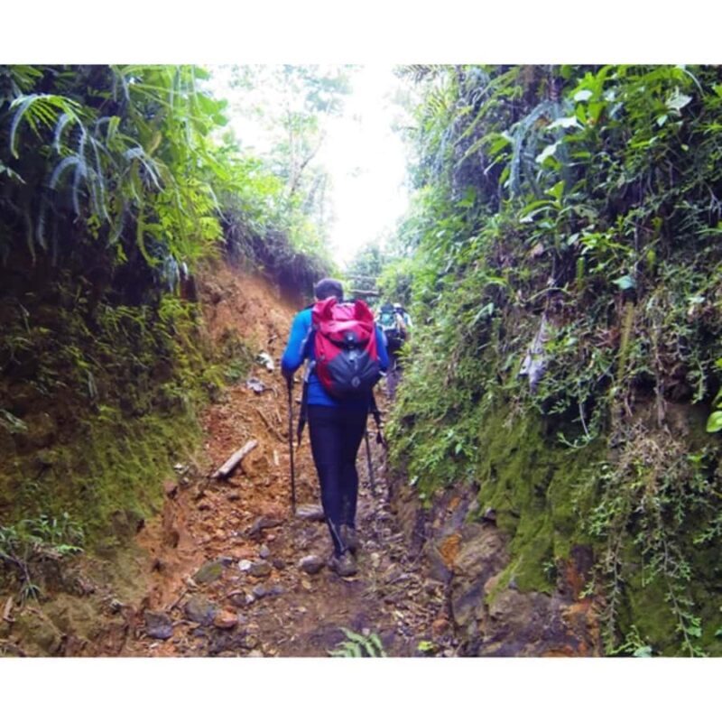 Bogota: Full-Day Extreme Eco-Tour - Who Will Love This Tour?