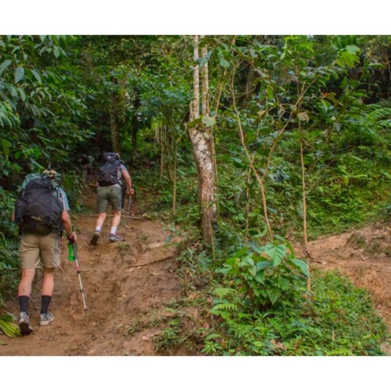 Bogota: Full-Day Extreme Eco-Tour - Final Thoughts on Value and Experience