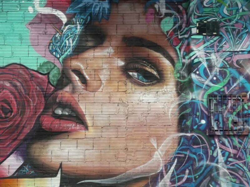 Bogota Guided Graffiti Tour - Discover Bogota’s Street Art with a Guided Graffiti Tour