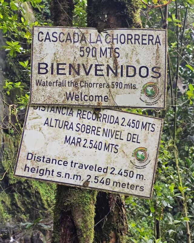 Bogota: Hike to La Chorrera Waterfall, El Chiflón and Guadalupe Hill - Key Points