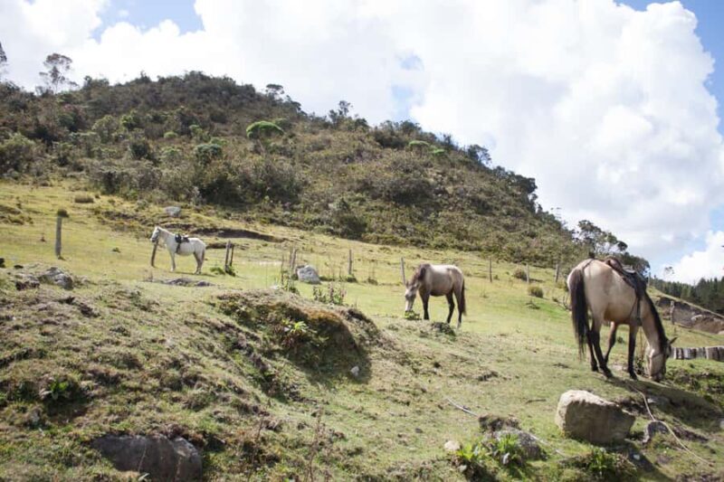 Bogota: Horseback Riding Tour - FAQ