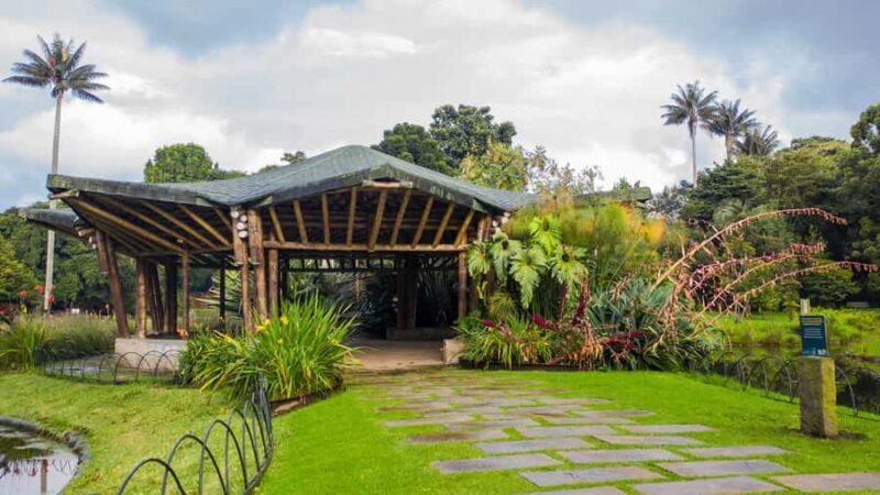 Bogotá: Jose Celestino Botanical Garden and Gudalupe Hill - Exploring Bogotá’s Botanical Garden and Guadalupe Hill: A Complete Guide