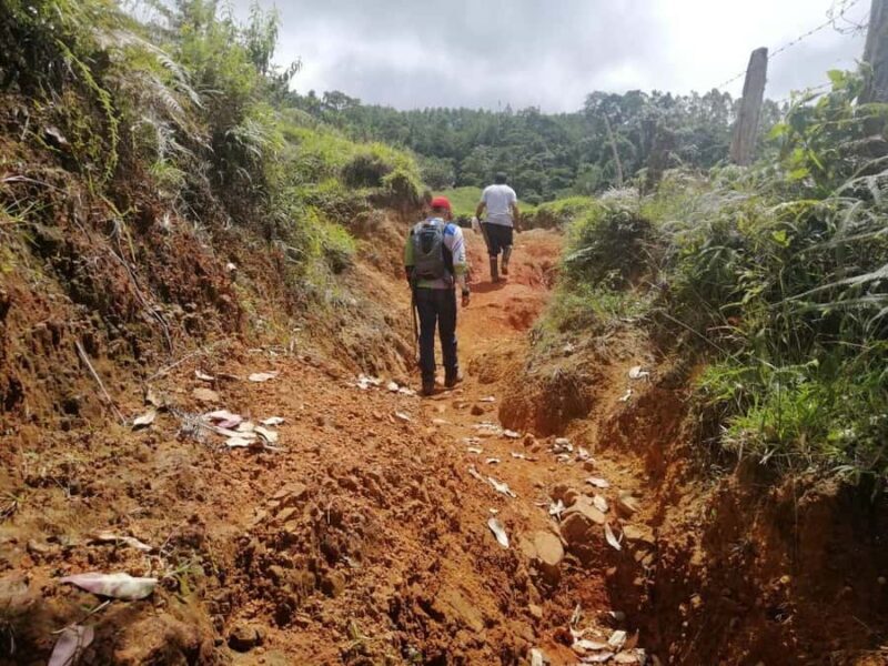 Bogota: Private Hiking Eco Walk Tour - Key Points