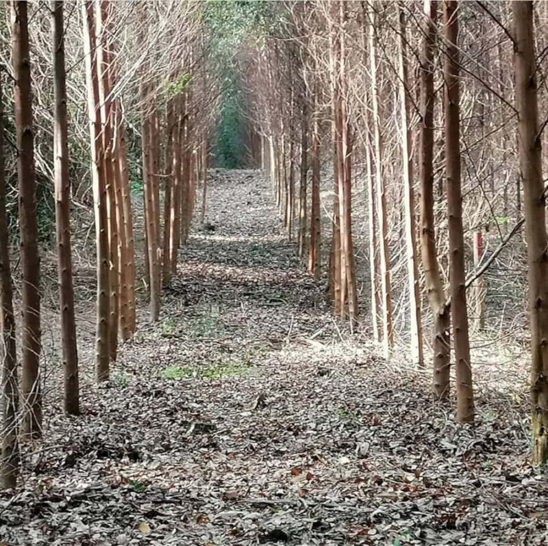 Bogota: Private Hiking Eco Walk Tour - Analyzing the Value