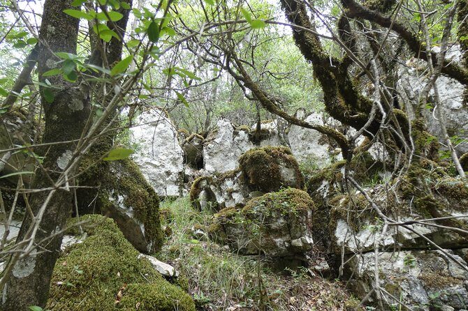 BOGOVA WATERFALL & WINERY TOUR from Berat by 1001 AA - Who Will Love This Tour?