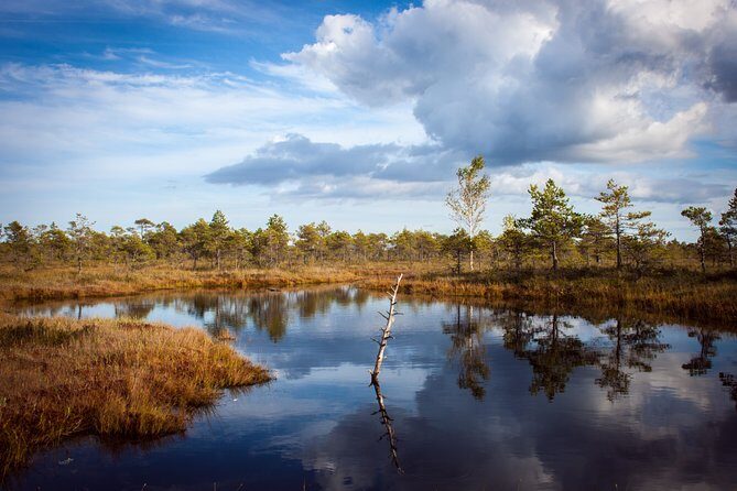 Bogs and Resorts in Jrmala - Exploring the Bogs and Resorts of Jurmala: A Day Trip from Riga