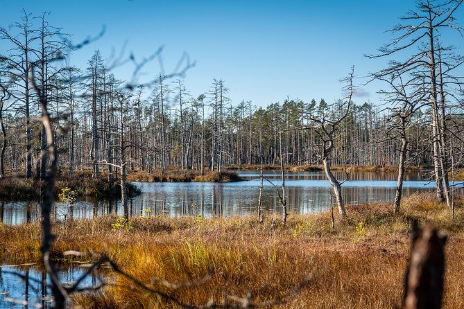 Bogs and Resorts in Jrmala - Who Will Love This Tour?