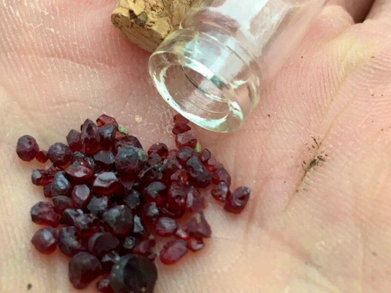 Bohemian Uplands: Garnet panning, Farm & Local Lunch&Beer - The Sum Up