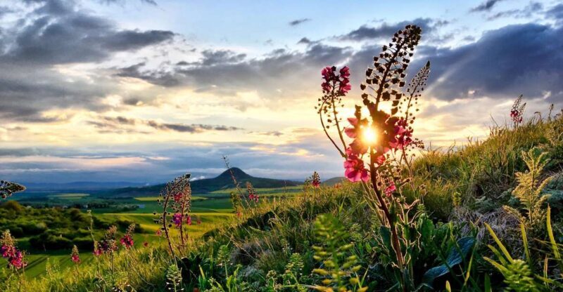 Bohemian Uplands: Garnet panning, Farm & Local Lunch&Beer - FAQ