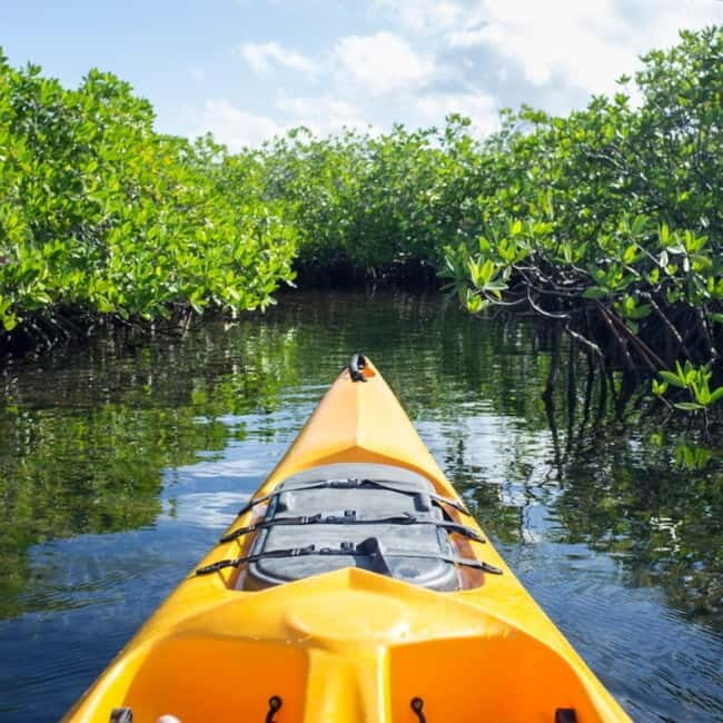 Bohol: Alburquerque Recreational Tour - Exploring the Alburquerque Recreational Tour in Detail