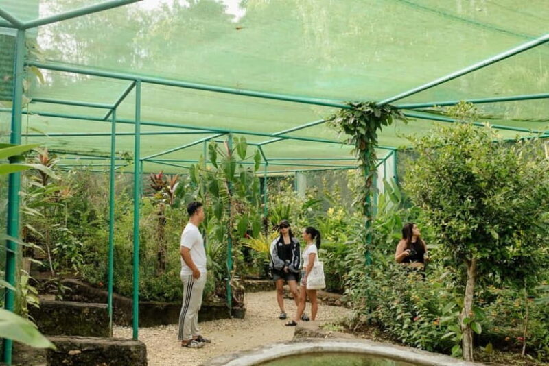 Bohol and Siquijor: 5-Day Guided Trip - Final Thoughts