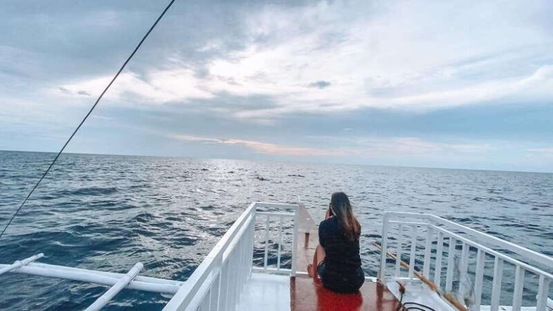 Bohol Balicasag Is Private Tour and Dolphin Watching - In-Depth Review of the Bohol Balicasag Private Tour and Dolphin Watching