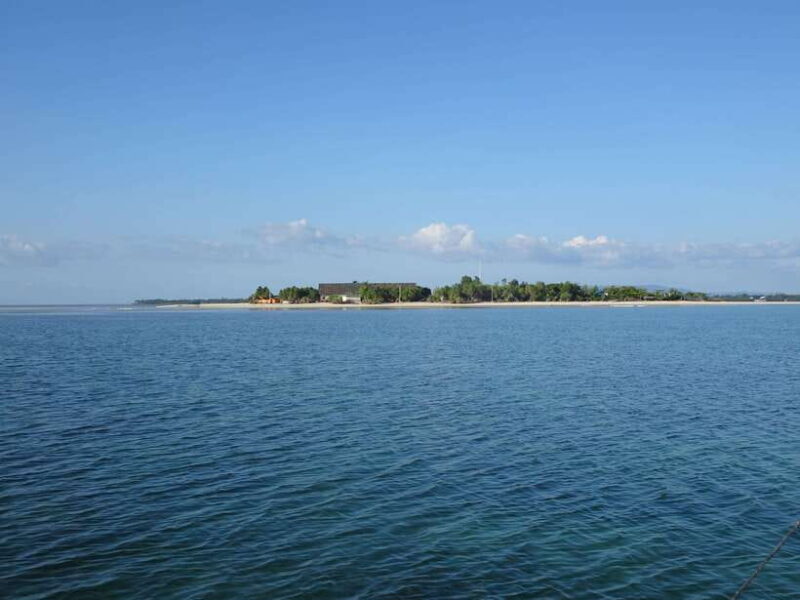 Bohol Balicasag Is Private Tour and Dolphin Watching - FAQ