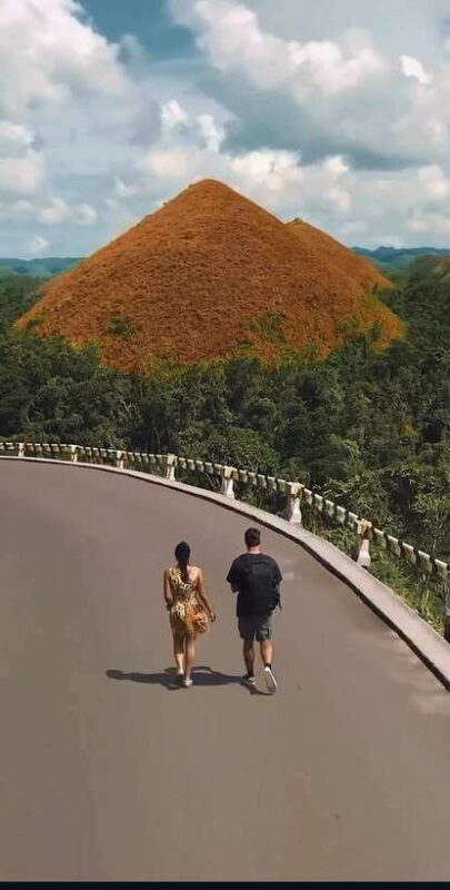 Bohol: Budget Chocolate Hills & Tarsiers -Backpacker Special - The Sum Up