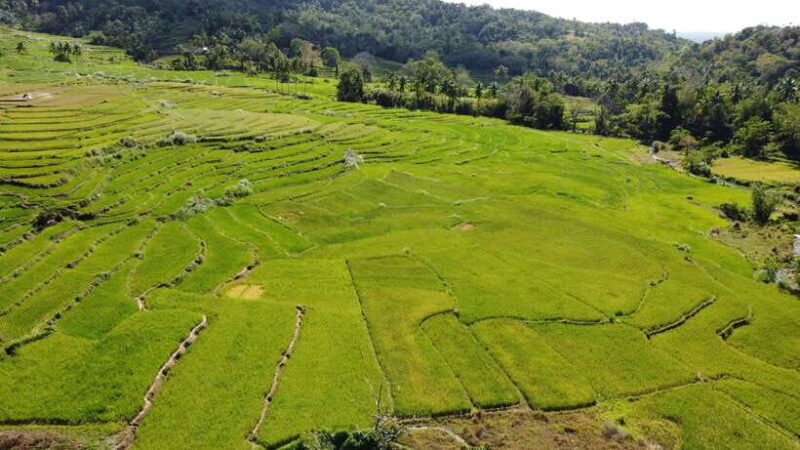 Bohol Candijay Rice Terraces, Water Falls & Anda Beach - A Detailed Look at Each Stop