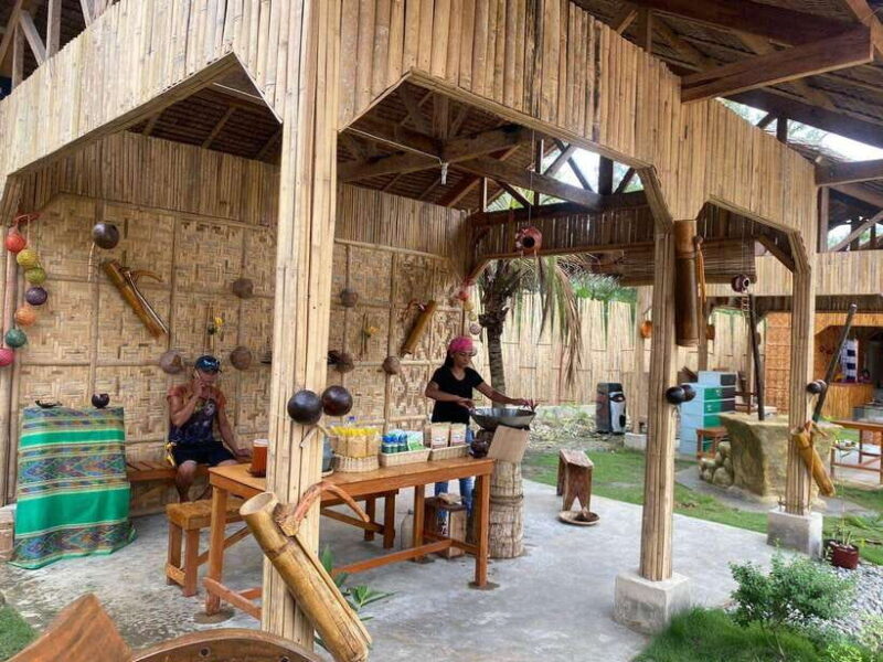 Bohol: Choco Tour & Tarsiers with Lunch - Key Points