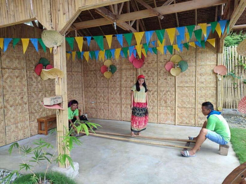 Bohol: Choco Tour & Tarsiers with Lunch - Who Should Consider This Tour?