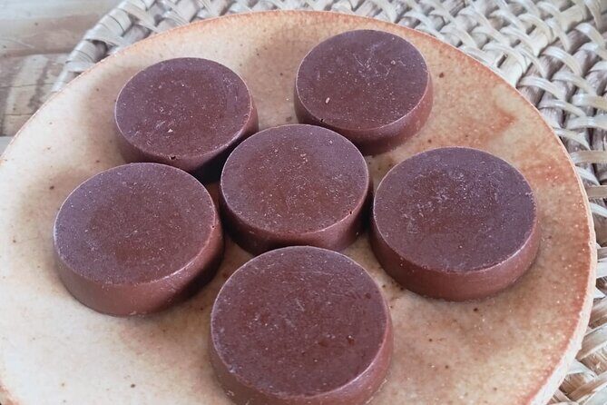 Bohol Chocolate Farm and Chocolate Hills Private Tour - In-Depth Review of the Bohol Chocolate Farm and Chocolate Hills Private Tour