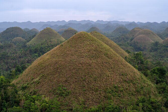 Bohol Chocolate Farm and Chocolate Hills Private Tour - The Cost-Value Relationship