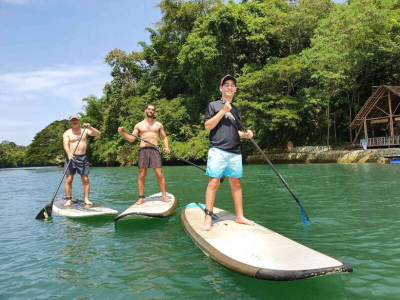 Bohol: Chocolate Hills and Countryside Tour - The Sum Up