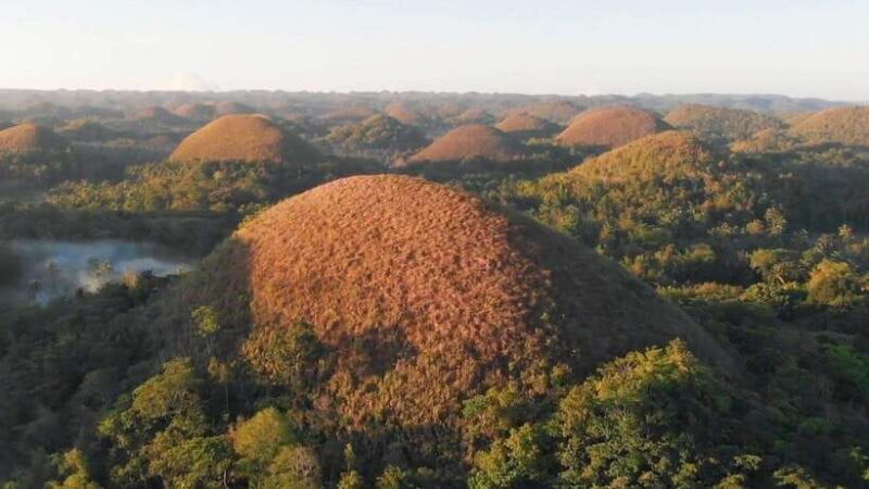 Bohol: Chocolate Hills, Loboc River Cruise, and Buffet Lunch - Authentic Feedback from Travelers