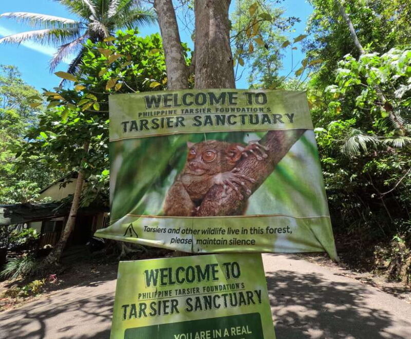 Bohol: Chocolate hills Private Eco-Tours - Key Points