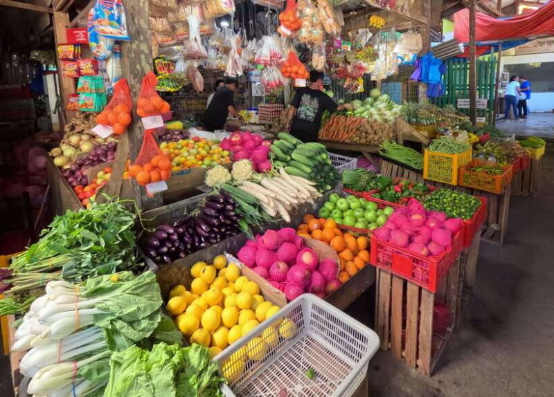 Bohol: Chocolate hills Private Eco-Tours - The Sum Up: Is This Tour Right for You?