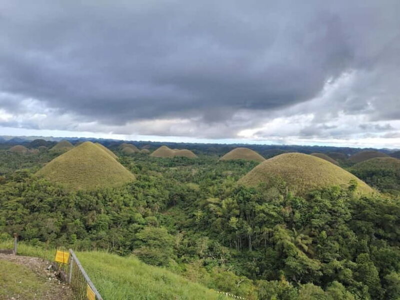 BOHOL: Chocolate Hills, Tarsiers and Loboc River Day Tour - Key Points