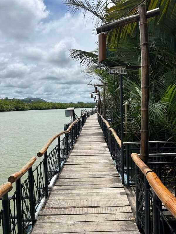 Bohol: Chocolate Hills Tour with Loboc River Cruise & Lunch - A Deep Dive into the Bohol Experience