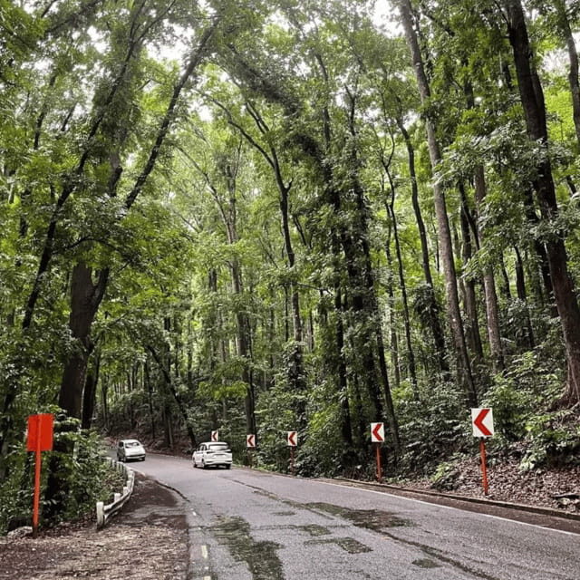 Bohol Chocolate Hills Tour with Loboc River Lunch Buffet - Authentic Perspectives from Travelers