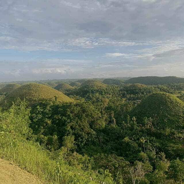 Bohol Chocolate Hills Tour with Loboc River Lunch Buffet - Practical Details and Tips