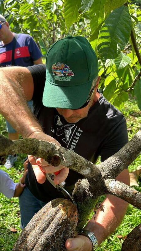 Bohol Chocolate Making and Farm Tour - The Itinerary in Detail