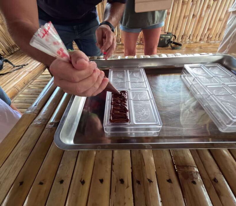 Bohol Chocolate Making and Farm Tour - Who Will Benefit Most?