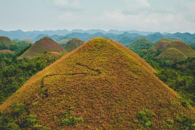 Bohol Country Side Tour - Private w/ Lunch - The Experience and Practicalities
