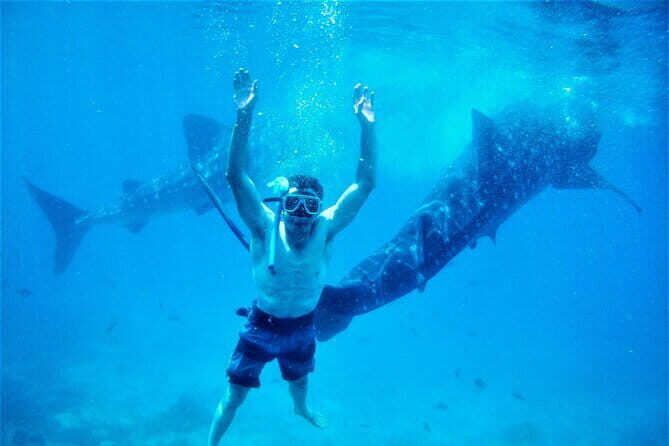 Bohol Country Side Tour - Private w/ Lunch - FAQ