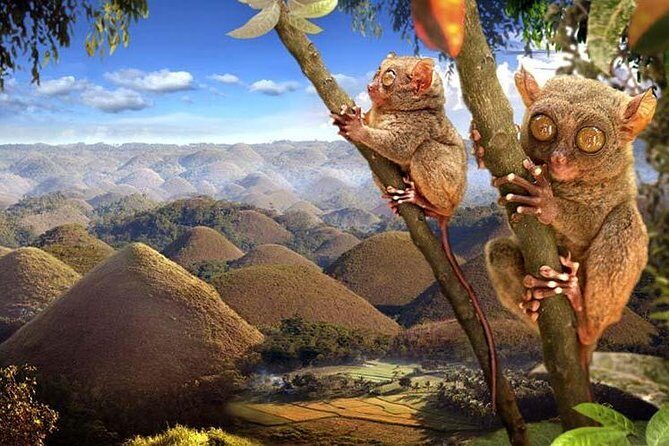 Bohol: Countryside Eco-Cultural Tour w/ Loboc River Lunch - Authenticity and Experience