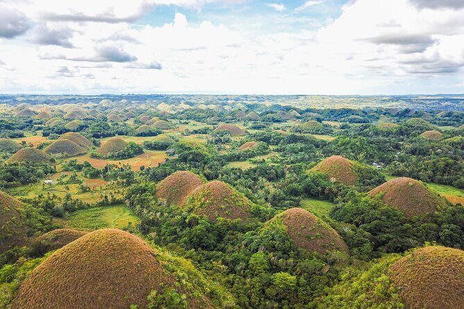 Bohol Countryside Tour: Chocolate Hills, Tarsier and Loboc River - An In-Depth Look at the Bohol Countryside Tour