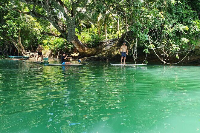 Bohol Countryside Tour: Chocolate Hills, Tarsier and Loboc River - FAQ