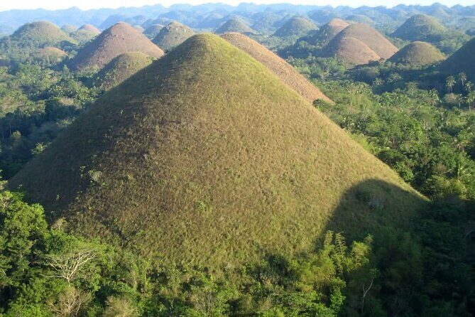 Bohol Countryside Tour to Chocolate Hills and Loboc River - Who Should Consider This Tour?