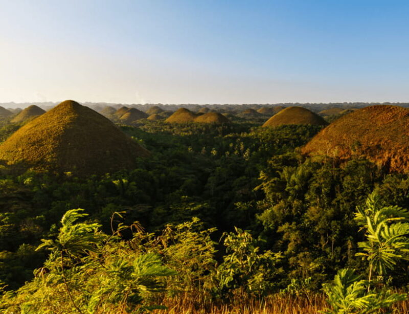 Bohol: Countryside Tour with Tarsiers and Chocolate Hills - Authentic Experiences and Traveler Insights