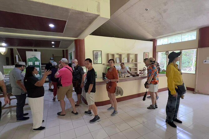 Bohol Day Tour with Round-Trip Transfers from Cebu - Exploring the Details of Your Bohol Day Trip